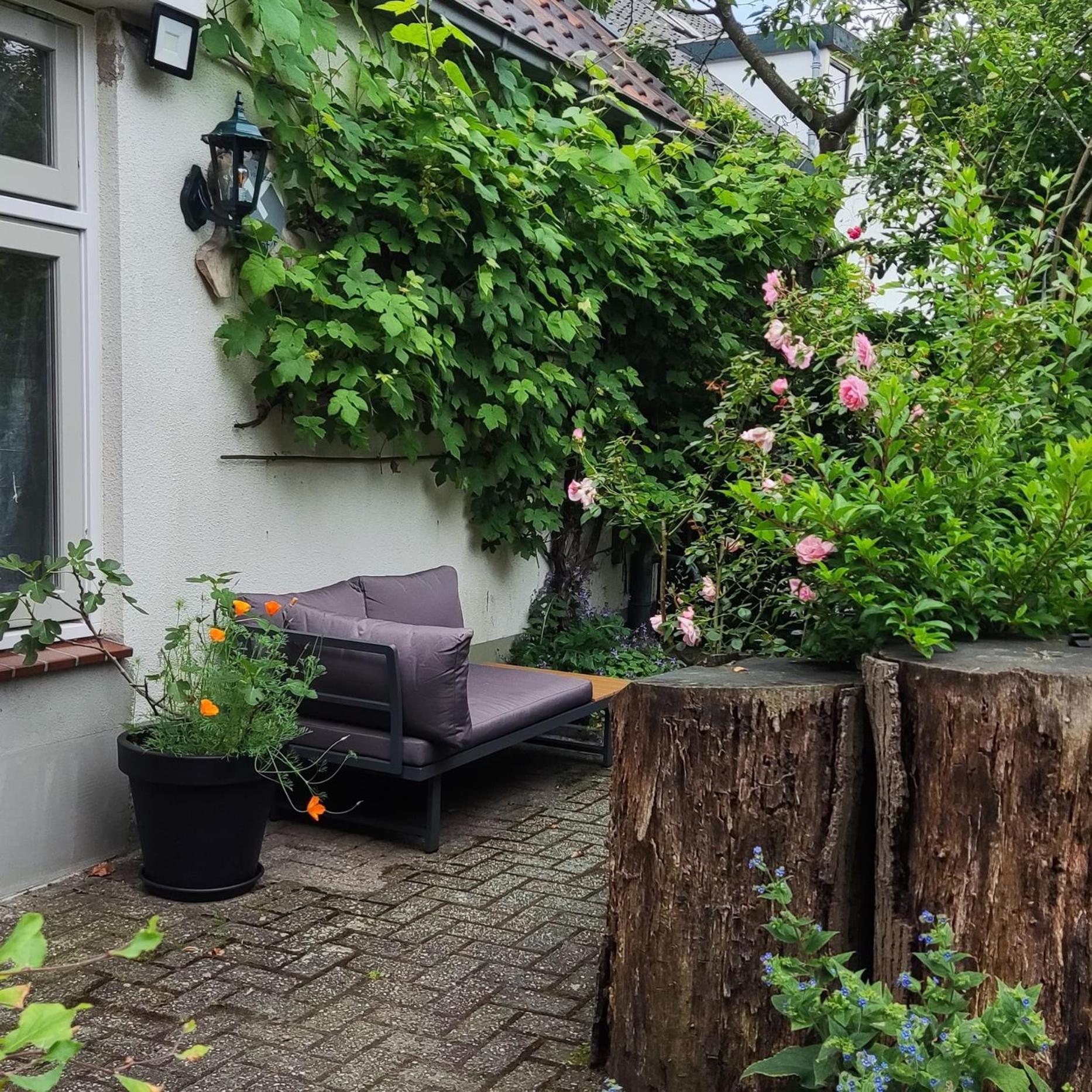 드리버겐 Logies Op Dreef B&B 외부 사진
